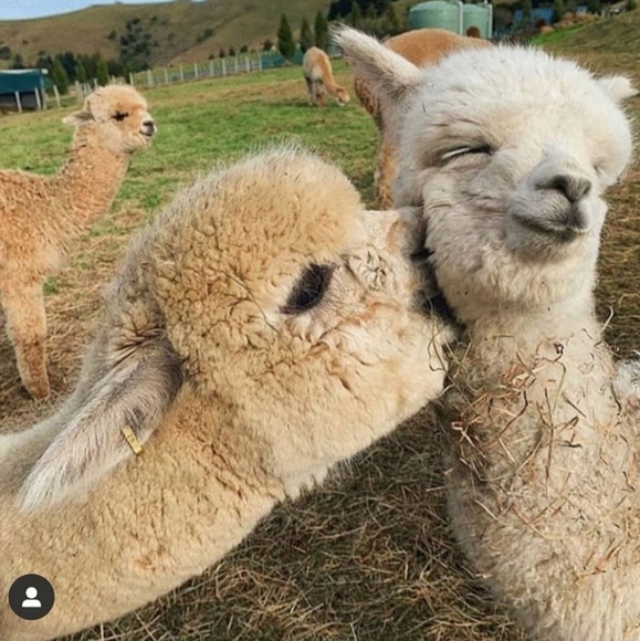 Meet your Posher,Tera - Picture 1 of 4